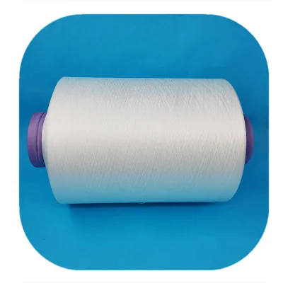Best Quality Filament PA6 Filament Nylon DTY Yarn 150D NL
