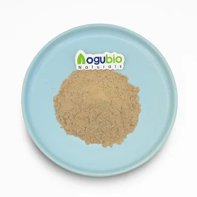Natural Organic Supplement Milk Thistle Extract 80% UV Slymarin Organic Milk Thistle Silymarin Powder