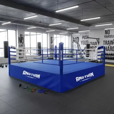 Cheap Price Training Floor Boxing Ring/ Mma/ Muay Thai/ UFC/ Wretling/ Kick/ AIBA Sale Different Size