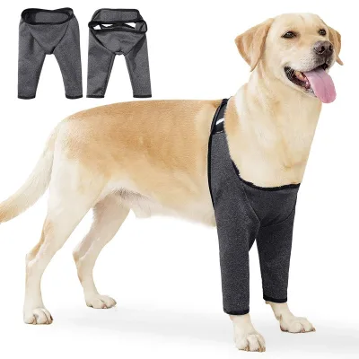 HWP-0002#Dog Knee Brace Wholesale Recovery Suit Dog Leg Anti-Lick Sleeve Dog Pet Use Knee Support Protector Pads