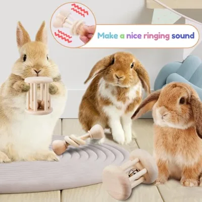 Wholesale 3 Pcs Solid Wood Pet Teeth Grinding Training Chew Toy OEM ODM Custom Logo Safe for Rabbit Guinea Pig Hamster