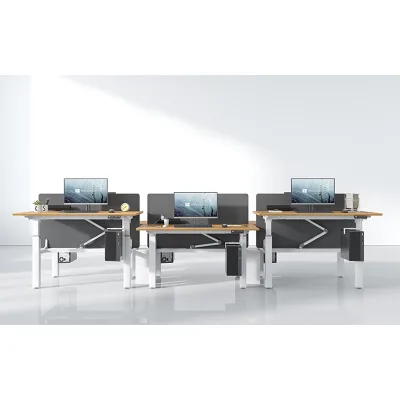 Ergonomic Height Adjustable Bench Desk Office Table Sit Stand Workstation Cable Management Panel Custom Size Wholesale