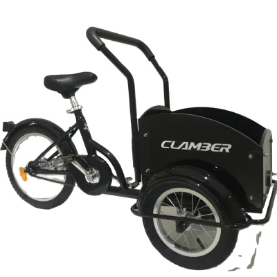 Pets Bike Children Bike 3 Wheel Cargo Tricycle Kid's Bike Taking Pets/toys