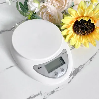 Mini Electronic Scales Steelyard Portable Digital Scale LCD Kitchen Scales 5kg1g Postal Food Balance Measuring Weight Libra