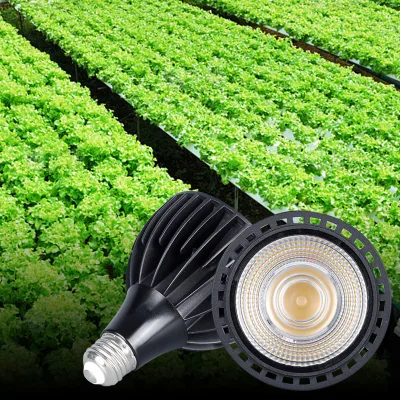 24W Premium Quality Epistar Plant Growing Bulb Full Spectrum Par30 Warm Cold White Emittance Indoor COB IP44 Certified Ceramic