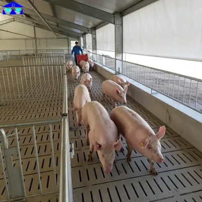 Customizable and Durable Steel Structure Pig House Farm Building with Modern Design Onsite Installation