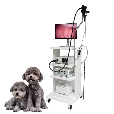 High Performance Video Otoscope Endoscopy Unit for Veterinary Endoscope