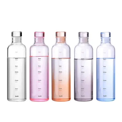 Leakproof Reusable 500ml Hand-blown Borosilicate Glass Water Bottle with Time Maker Modern Design