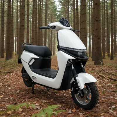 Electric Motorcycle Trials Bike City E-Moped Cruiser EV Bike 1000W 6 Speed Carbon Steel Brushless High Speed