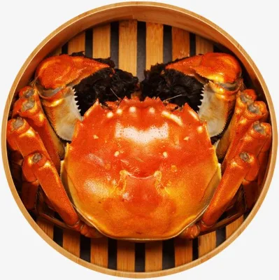 Live Fresh Water Crab Export to Vietnam Malaysia Thailand Dubai Korea and Japan