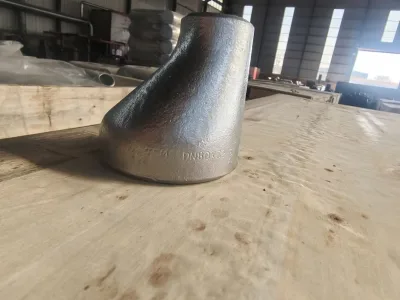 Haixin Forged Stainless Steel Reducer Welding Corrosion Resistant Class 1000 Rust-Perventative Surface Model