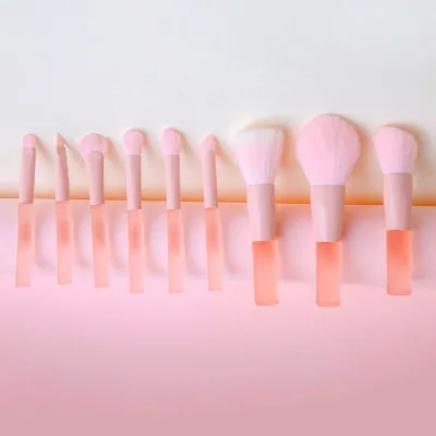 10 Pcs Mini Makeup Brush Set Wholesale Custom Makeup Brush Kit Makeup Brush Set in Pouch