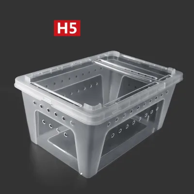 Ventilation Holes Insect Reptile Solid Feeding Hatching Container Plastic Feeding Box
