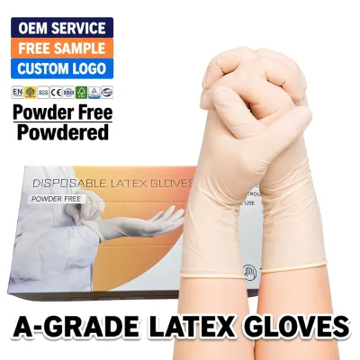 Latex Examination Gloves Powered Non Sterile Oem Natural Yellow Long Cuff Hypoallergenic Pro Grade Reusable Ambidextrous