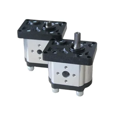 Hydraulic Dump Truck Electric Gear Pump CBN Machine Pump