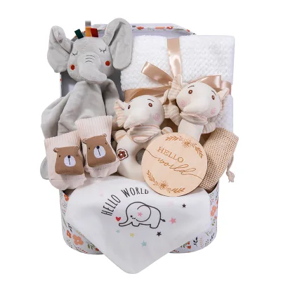 High Quality Fabric Custom Logo Fashionable Unisex Newborn Baby Welcome Gift Set Baby Soothing Toys