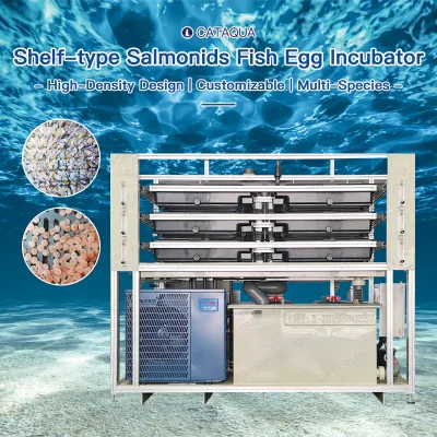 Durable Corrosion-Resistant Modular Trout Fish Eggs for Hatchery for 1000000 Egg for Commercial Coldwater Hatchery