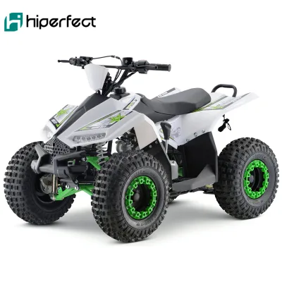 New Arrival Atvs 110cc 125cc Automatic 4 Stroke Can Am Gas Atv Kids Wholesale Atv China Petrol Bike