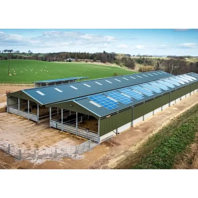 Prefabricated Building Steel Structure Warehouse/Workshop/Hall/Hangar With Welding Decoiling Punching Service
