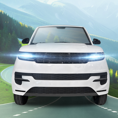 Best Selling New Energy Car 4 Doors China Made Fast Delivery