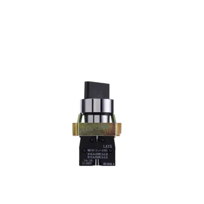 LAY5-BD21 2-position switch button