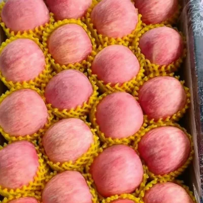 Wholesale Top Grade Fresh Red Fuji Apples 1 Year Shelf Life Shandong Origin at Fresh Price
