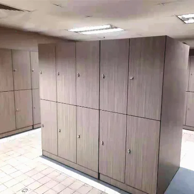 Multi Compartment 12mm HPL Compact Laminate Single Door Staff Work Clothes Locker Box Storage for Spa Houses