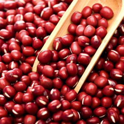 Competitive Price Superior Quality China Red Bean China High Quality Branded Red Round Beans