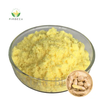 Manufacturer Supply Pure Natural Ginger Root Extract Powder 1% Gingerol