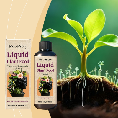 Daily Indoor Plants Help Absorb Balanced Nutrients  Plant Liquid Fertilizers