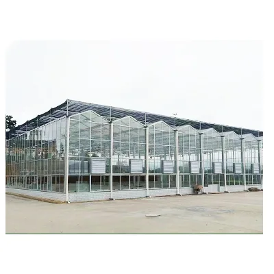 Glass Greenhouse, Agricultural Planter, Tempered, Intelligent Ventilation, Climate Control, Sightseeing, Custom Built