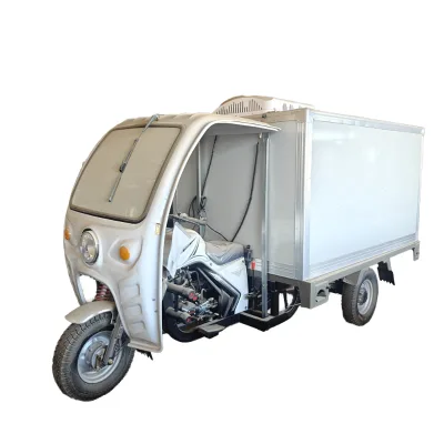 Closed Body-for Cargo Use 200cc 250cc Gasoline Motorized Three-Wheel Reverse Tricycle Refrigerator
