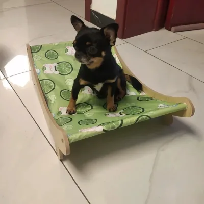 Modern Style Eco-friendly Rectangle Cooling Hammock Cats Dogs Summer Ice Mat Pet Recliner Wood Nest Sofa Cradle