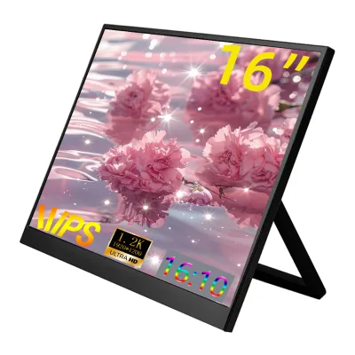 New Technology 16 Inch Full HD 1920x1200 IPS LED Backlit 60Hz Portable Type-C USB Display Built-in Speaker 12ms Response