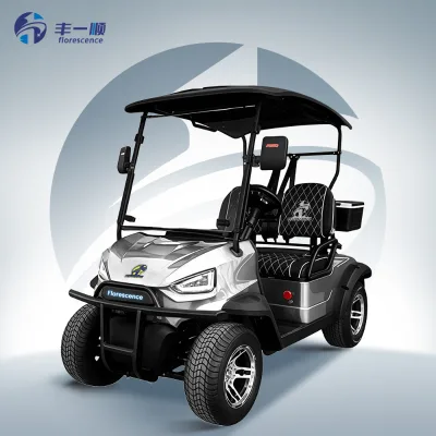 Chinese Energy-Efficient Electric 2-Seater Golf Cart Regenerative Braking System Smart Power Management 48V 150AH Battery