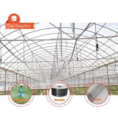 Large Multispan Agriculture Greenhouse Grow Tent for Vegetable