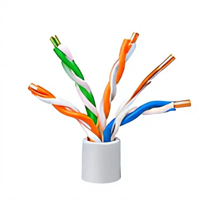 CAT6 Outdoor LAN Cable UTP FTP Ethernet Network 305m Bulk Copper PVC LSZH Jacket OEM