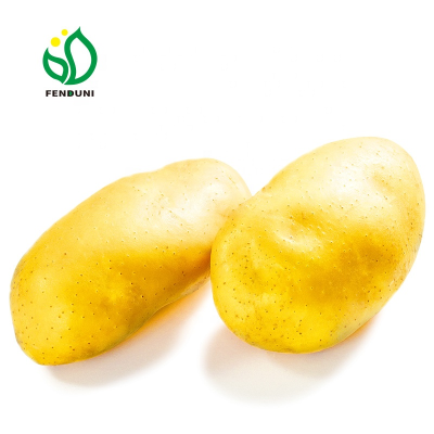NEW Farm Peeled Fresh Sweet Potato/patates