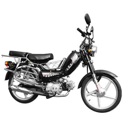 110cc Lightweight Mopeds Fuel System Motorcycle Gas Scooter