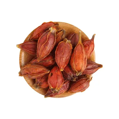 Gardeniae Fructus Chinese Herb Plants Chizi Fruit