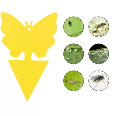 Yellow Cartoon Shape Sticky Trap Double-Sided Waterproof Fungus Gnat Trap for Indoor Plants Houseplants Home Gardening