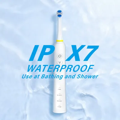 Smart Electric Toothbrush with Magnetic Levitation Motor & 2 Modes | 8,000 VPM, IPX7 Waterproof, Long Battery Life