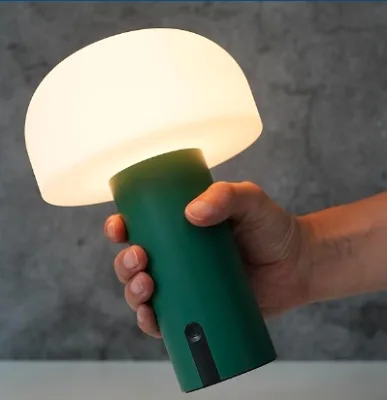 Modern Mushroom Table Lamp Iron Base Green Orange White Hidden Rechargeable Type-c Face Night Light Mushroom Style Table Lamp