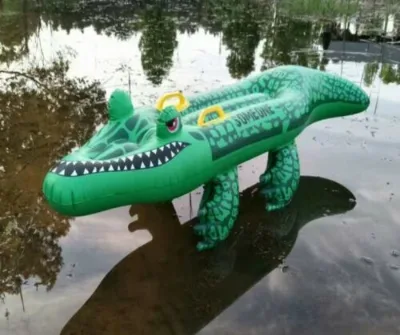Waterhan Wholesale Alligator Crocodile Kids Swimming Raft Mat PVC Inflatable Water Floating Row Guangdong Model FAJ545Y417
