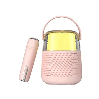 16W HiFI Horn Rainbow LED Light Karaoke BT Speakers Wireless Outdoor Bass Party Box Karaoke Speaker