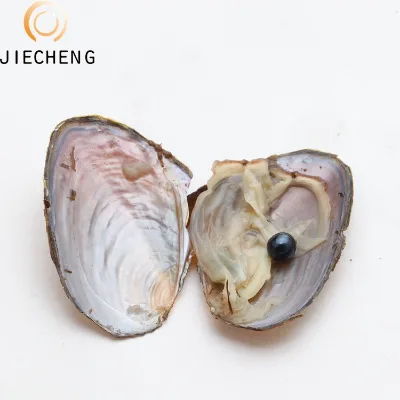 Lowest Price Natural 6-8mm AAA Near Round Vacuum Packaging Wholesale Black Freshwater oyster Pearl with Pearl Bulk