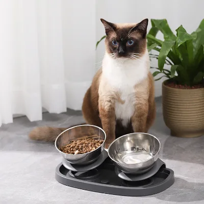 New Design Stainless Steel Elevated Tilted Dual Water Food Bowls Tiltable Raised Pet Cat Double Feeding Bowl