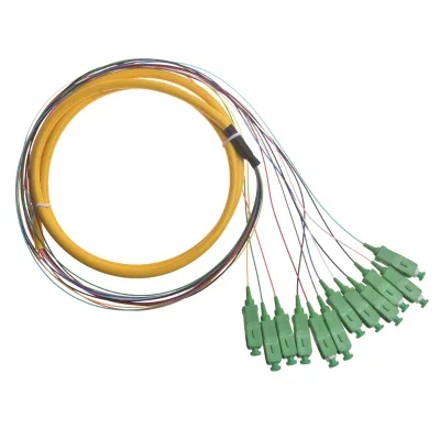 FTTH ODF SM Optic SC/UPC APC Fiber Pigtail 12 Core Bundle Pigtail