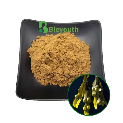 Factory Supply Manufacturer High Quality Fucus Vesiculosus Extract Powder Pure Natural