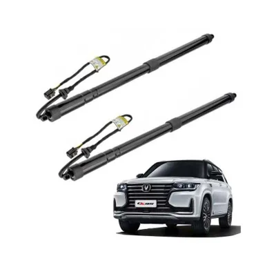 Limited Time to Buy Low Price Genuine Products Electric Tailgate for GARMIN 255